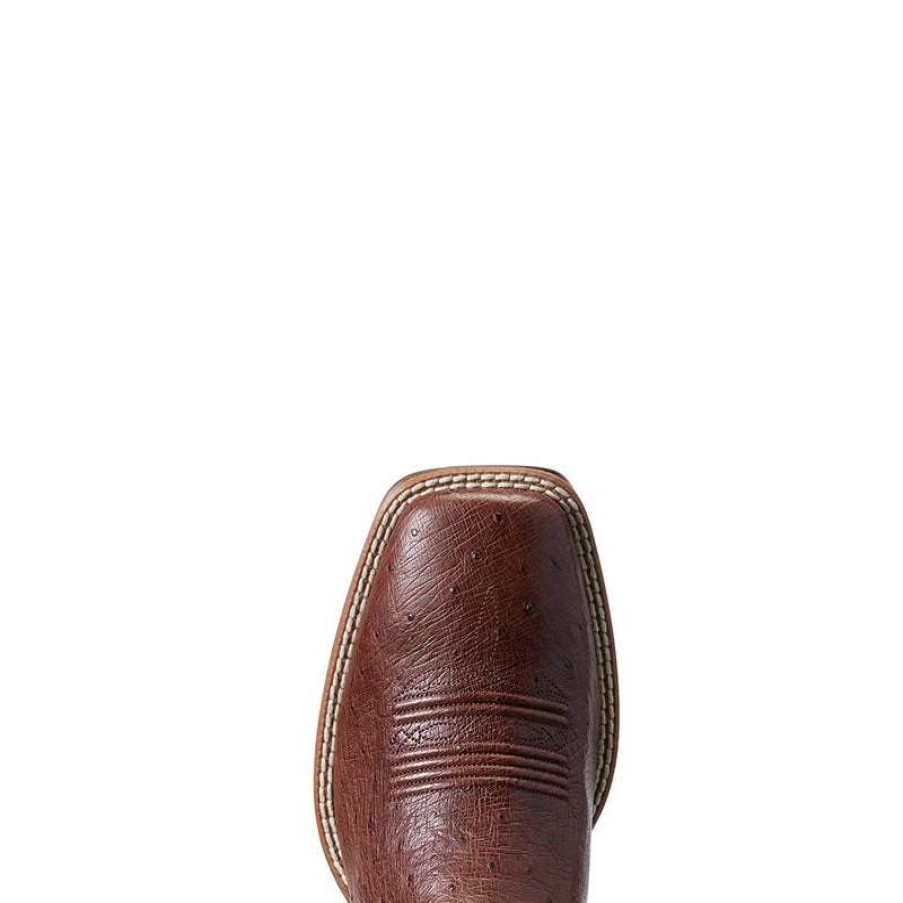 Men : Shoes & Boots : Casual & Dress * | Ariat' Men'S 11 Night Life Ultra Western Square Toe Antique Tabac Smooth Quill Ostrich / Sorrel Brown